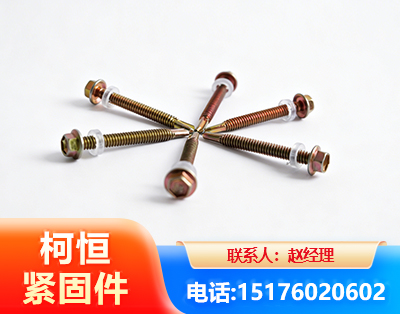 金昌六角钻尾丝